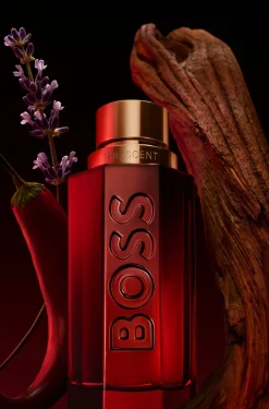 BOSS The Scent Elixir Parfum Intense 100 ml