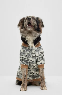 Hunde-Bomberjacke