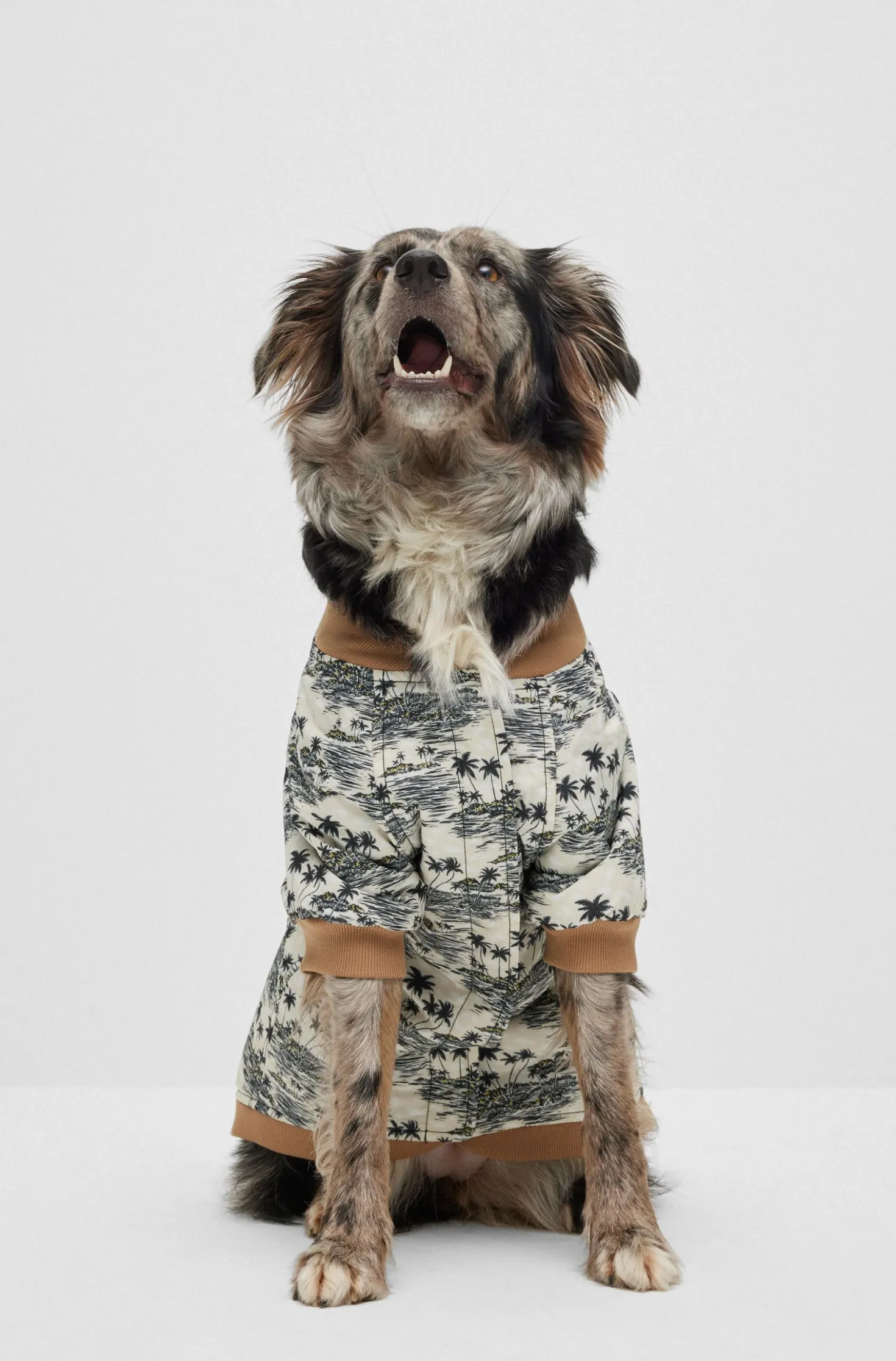 Hunde-Bomberjacke