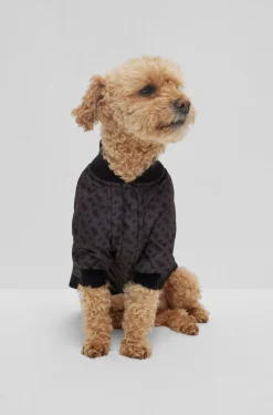 Hunde-Bomberjacke