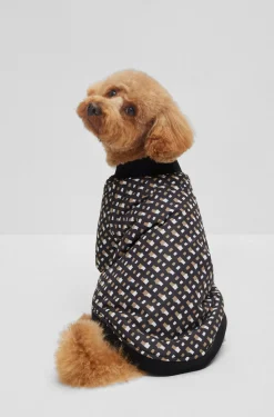 Hunde-Bomberjacke