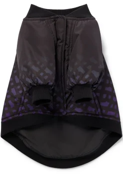 Hunde-Bomberjacke mit Dégradé-Monogrammen