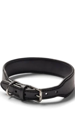 Hunde-Halsband aus recyceltem Leder