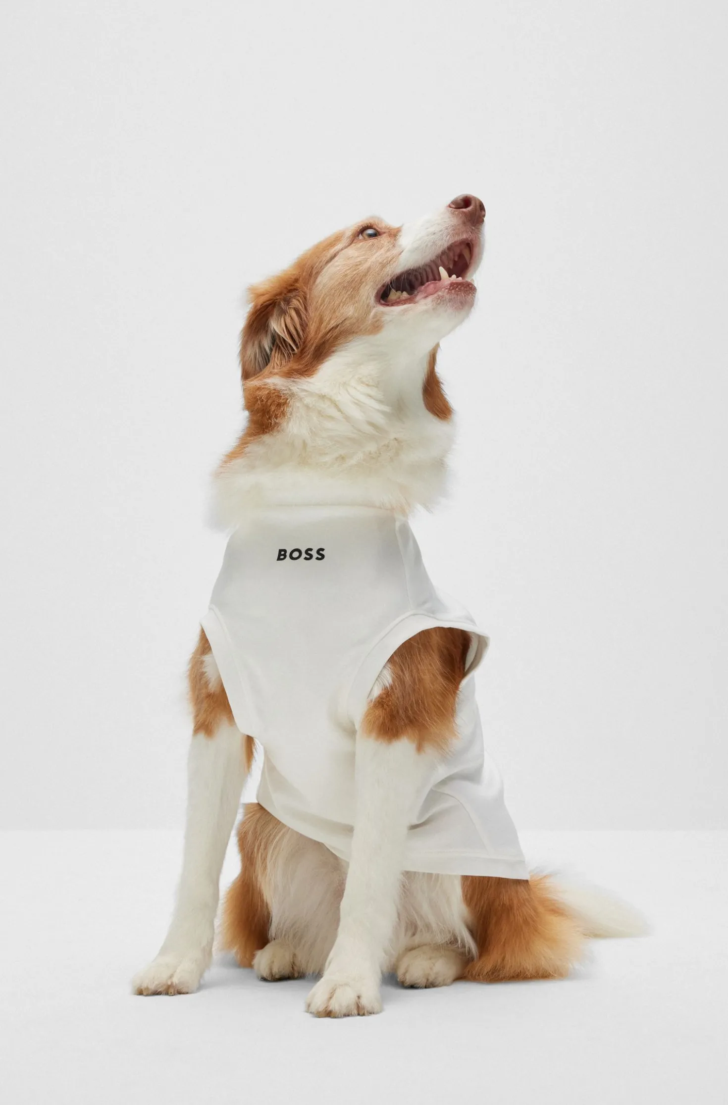 Hunde-T-Shirt aus merzerisierter Baumwolle mit Kontrast-Logo